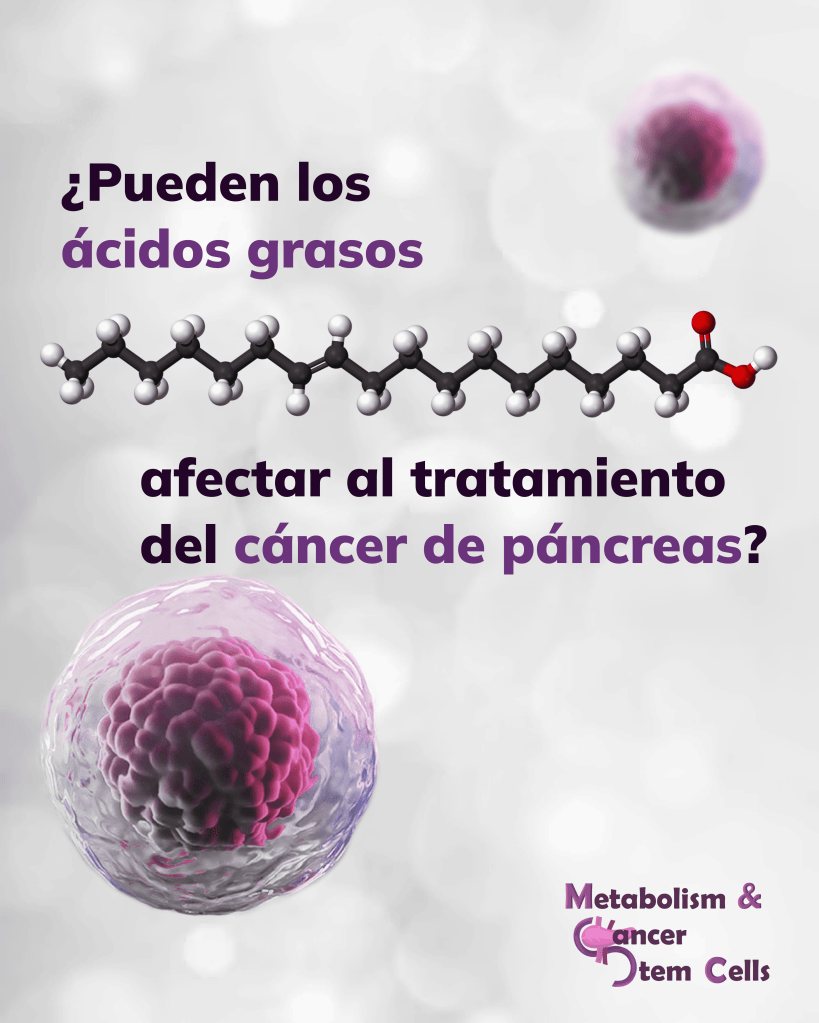 cáncer de páncreas, quimioterapia, resistencia, investigación, células madre tumorales